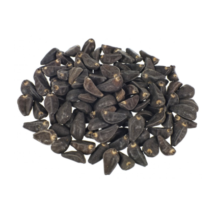 Japanese Morning Glory Seeds Price in Pakistan