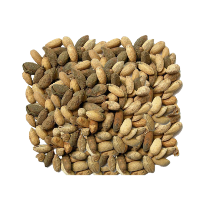 Neem Seeds Price in Pakistan