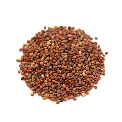 Radish Seeds Price in Pakistan