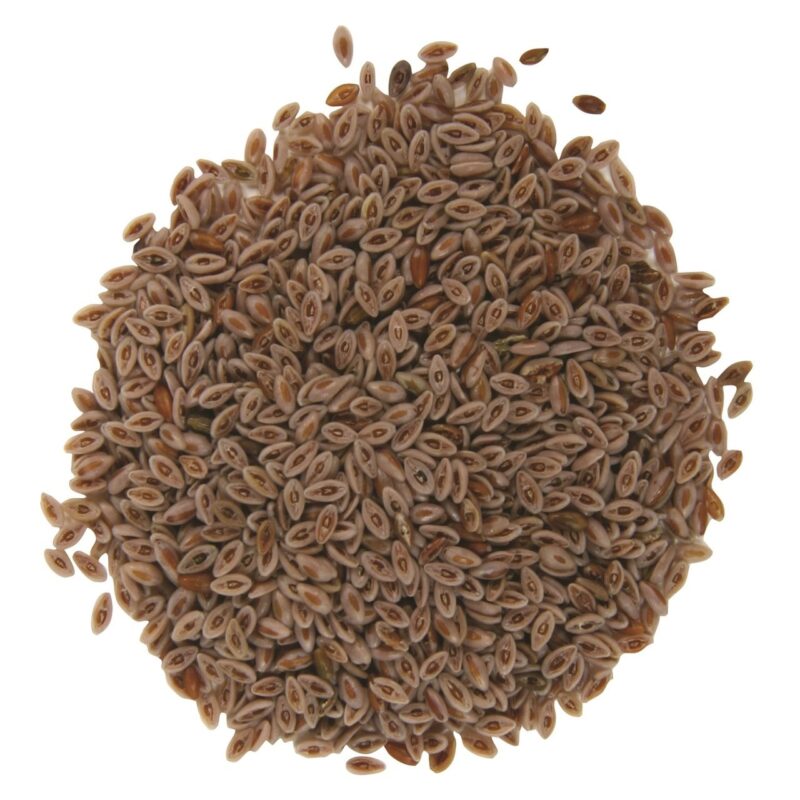 Psyllium Seed Husk Price in Pakistan