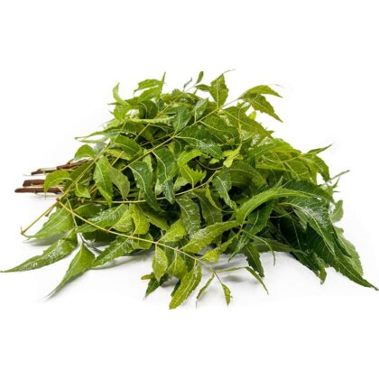 Neem Leaves