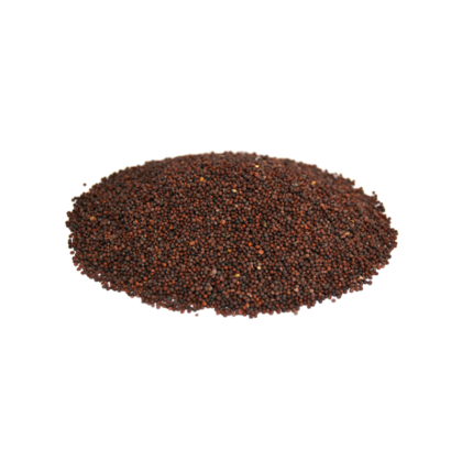 Black Mustard Seeds Price in Pakistan