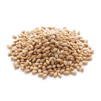 Barley Price in Pakistan