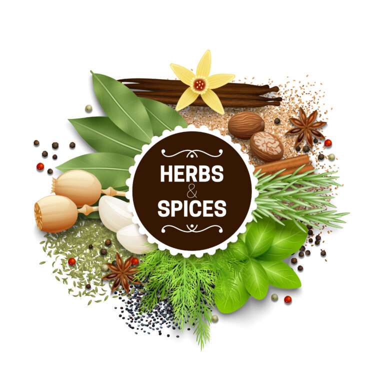 Herbs Spices